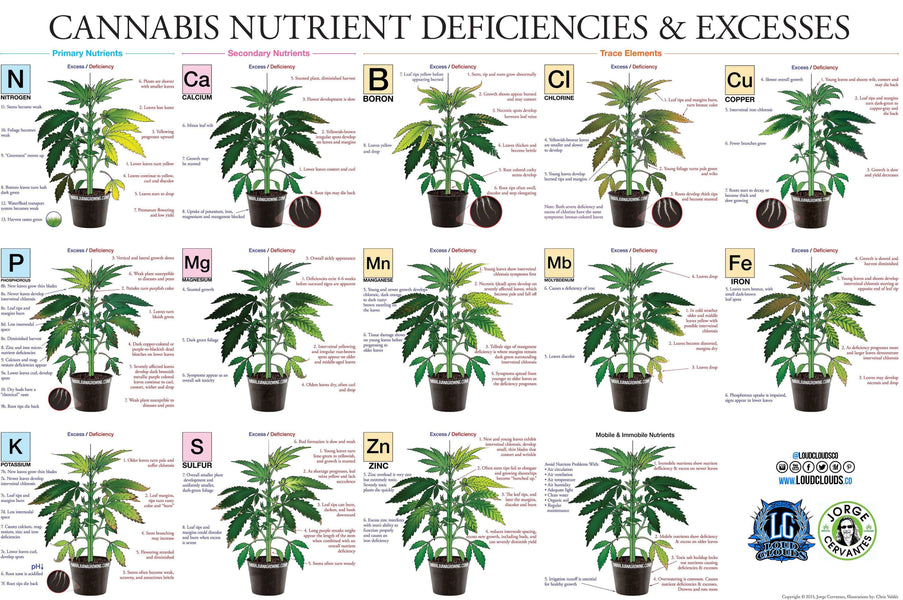 Diagnosing health issues in Cannabis plants