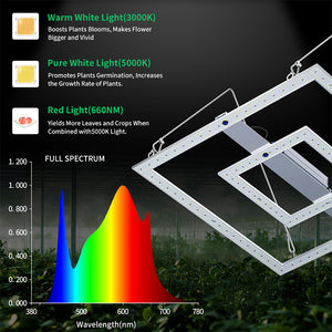 Patented 680W Grow Light High PPFD New Design with Uniformity Light Distribution