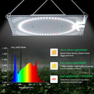 Patented 100W  board LED Grow Light with Uniform Light Distribution