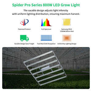 Patented 800W led grow light bar Retractable design adjust PPFD design with dimmable nob and 2 RJ45