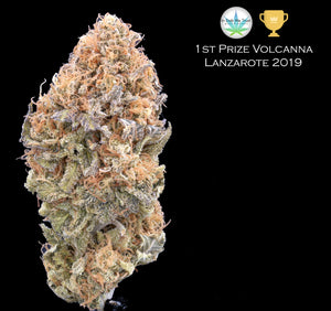White Bubble (1st Prize Volcanna Lanzarote 2019)